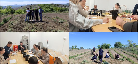 Praktična nastava u vinogradarstvu i vinarstvu: Studenti usavršavali znanja kroz analizu i rad na terenu